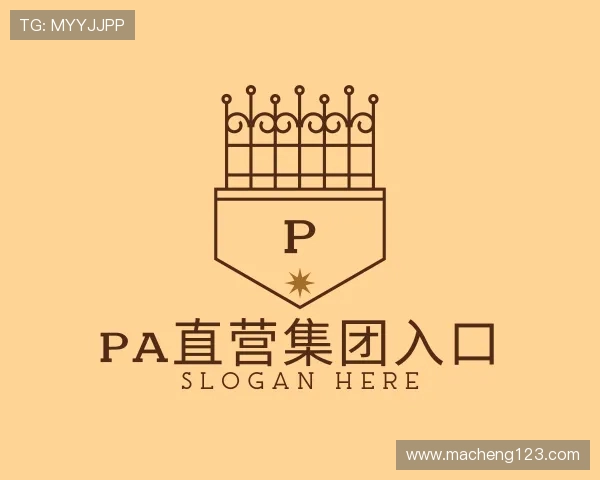 关于PA直营集团